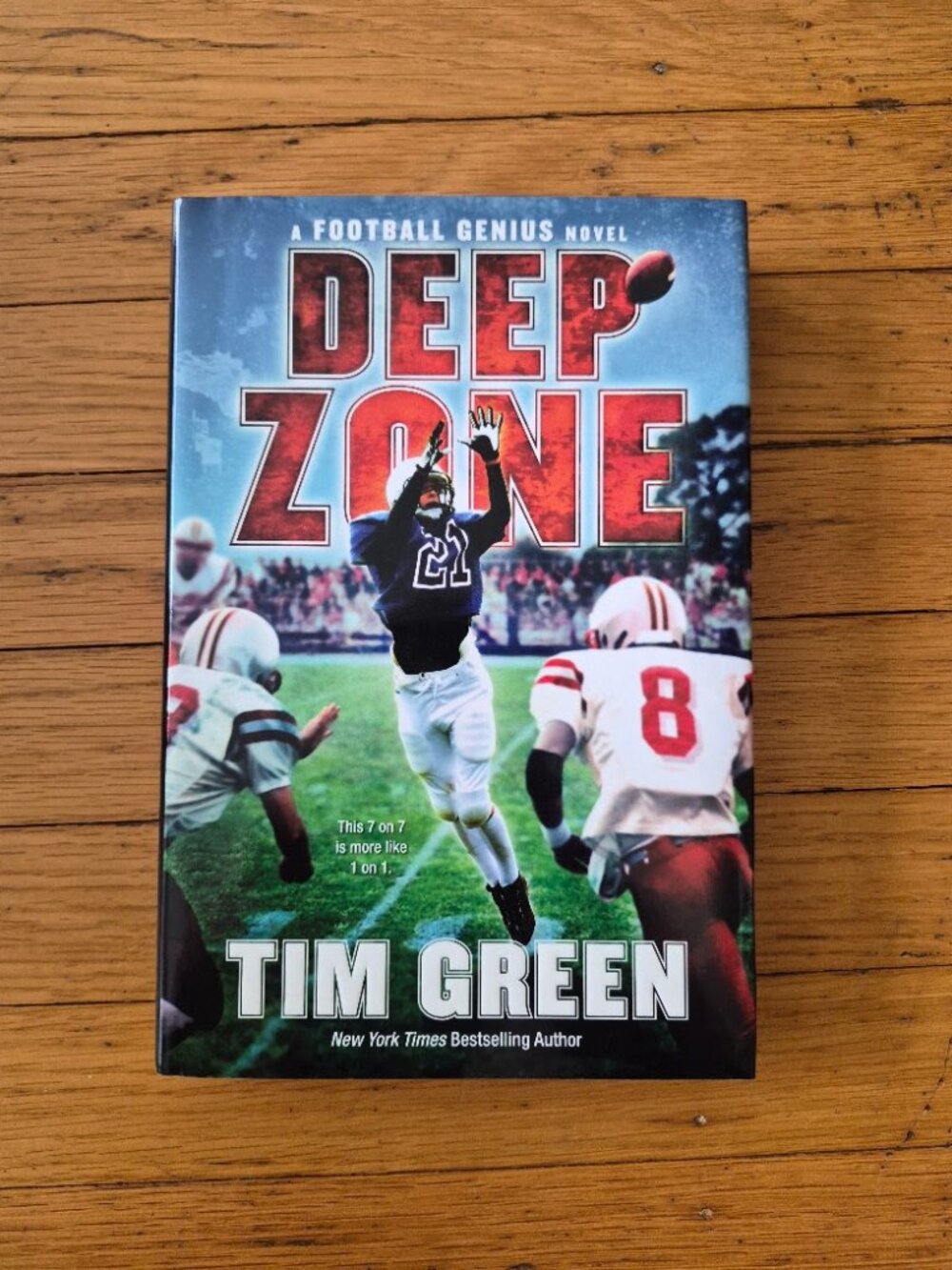 Deep Zone by Tim Green